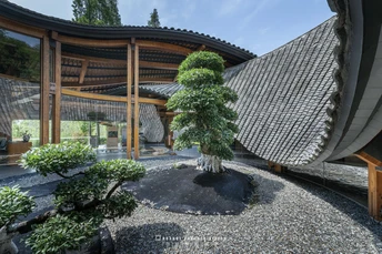 房子里的庭院 有树木和植物