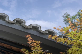 蓝天下的建筑屋顶