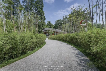 树木环绕的小径和一所房子