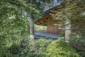 森林中的一座房子