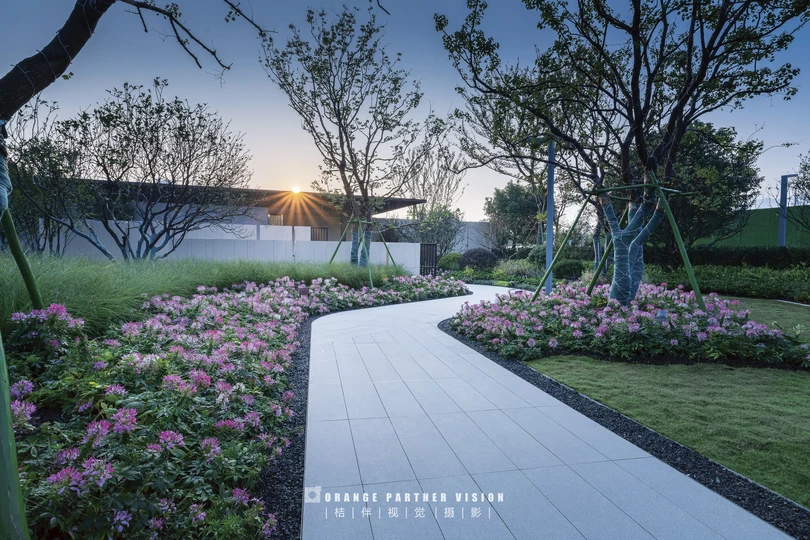 花园里的一个走廊 有树木和花卉