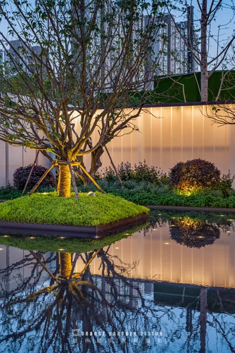 一个有树影倒映在水面上的小池塘