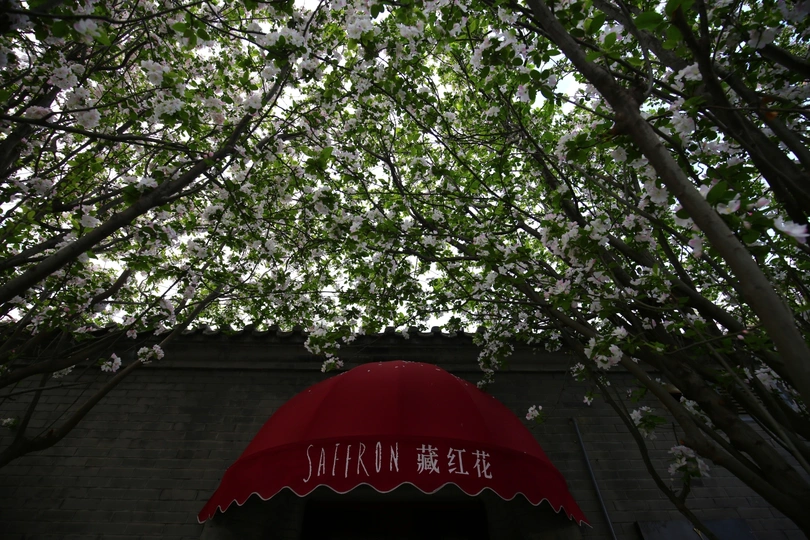 一把红伞在树下