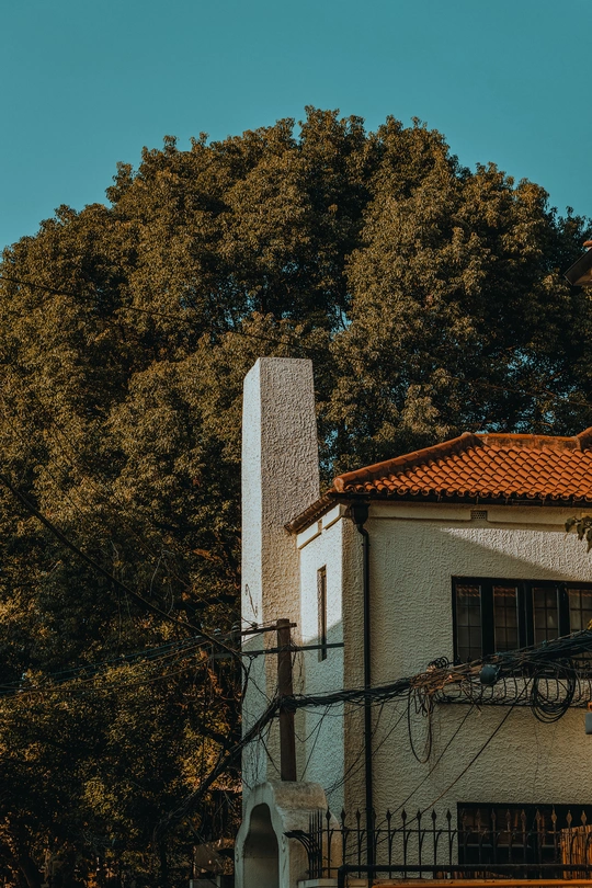 一座白色建筑 旁边有一棵大树 旁边有一座大钟