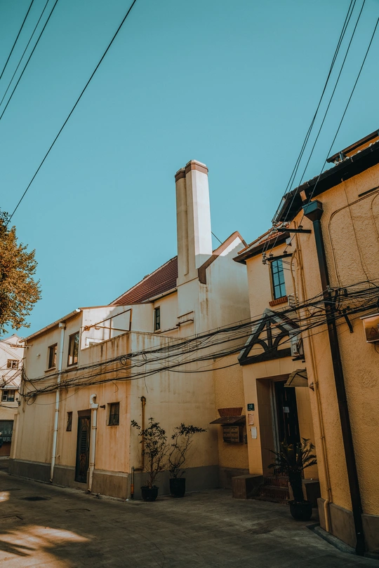 一条街道 有古老的建筑和一棵树。
