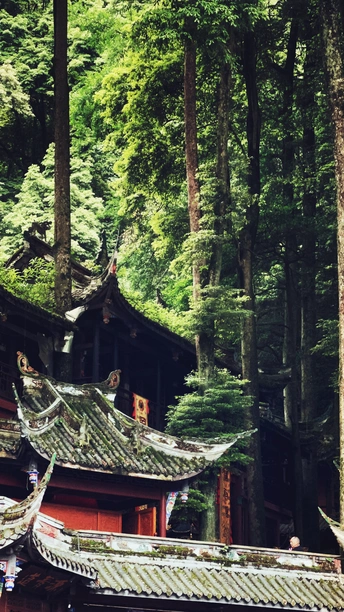 有很多树的森林里的一座宝塔