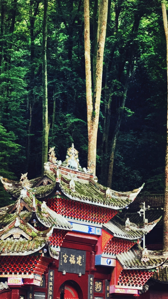 树林中的小神龛或宝塔