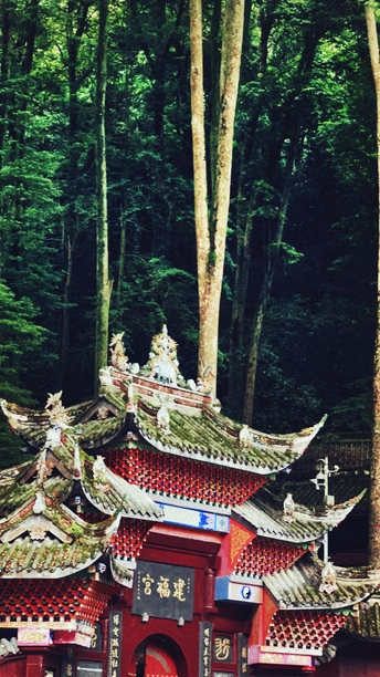 树林中的小神龛或宝塔