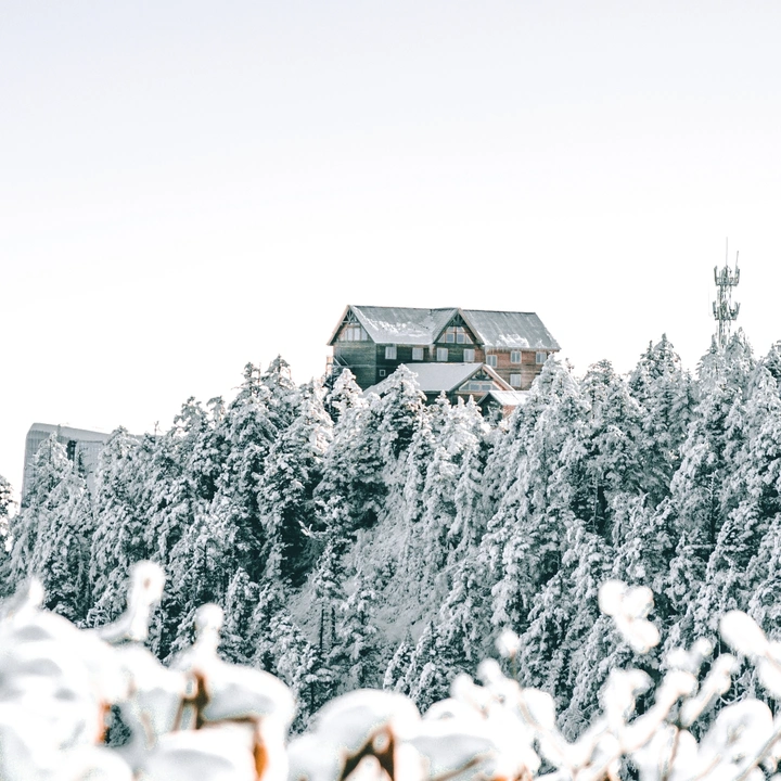 雪屋