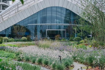 建筑物前有花草的花园