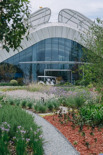 建筑物前有花草的花园