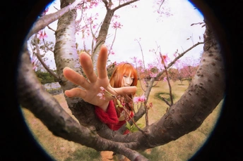 女孩举起手在树上