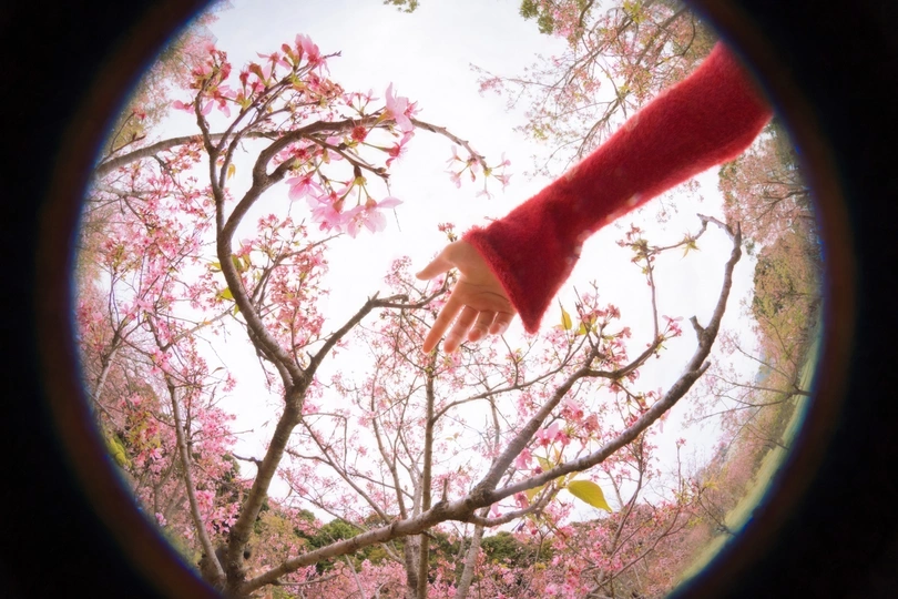 透过窗户看到粉红色花朵和树木 一个人戴着手套