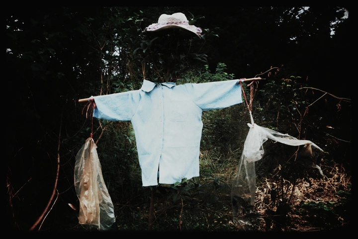 等风来