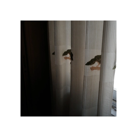 一张猫挂在窗帘上的照片