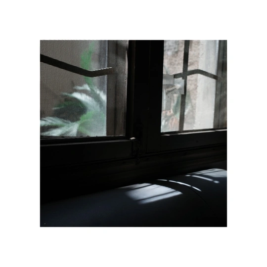 一个黑暗的房间 窗户上有一只绿色的鸟儿坐在窗台上。