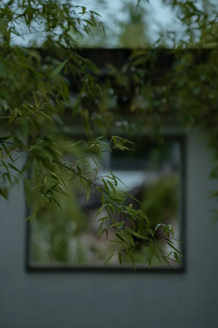秋阴不散霜飞晚 留得枯荷听雨声