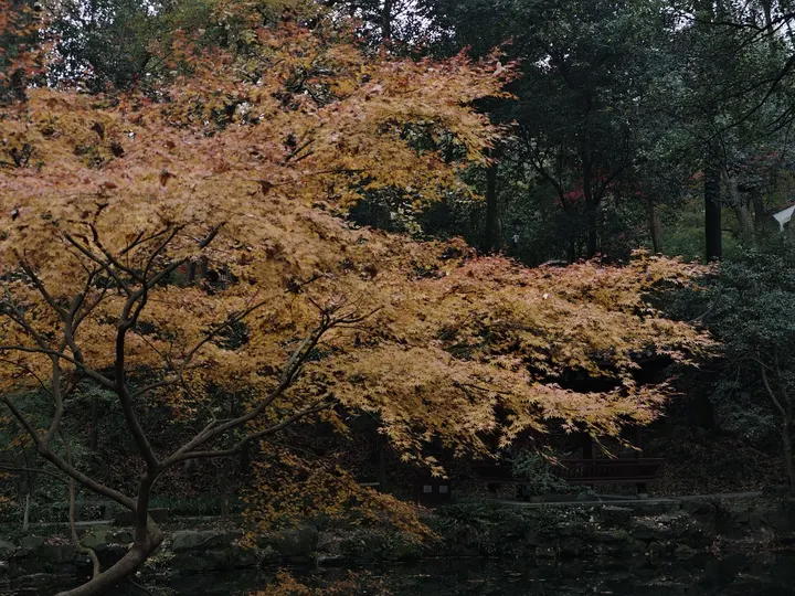 散步