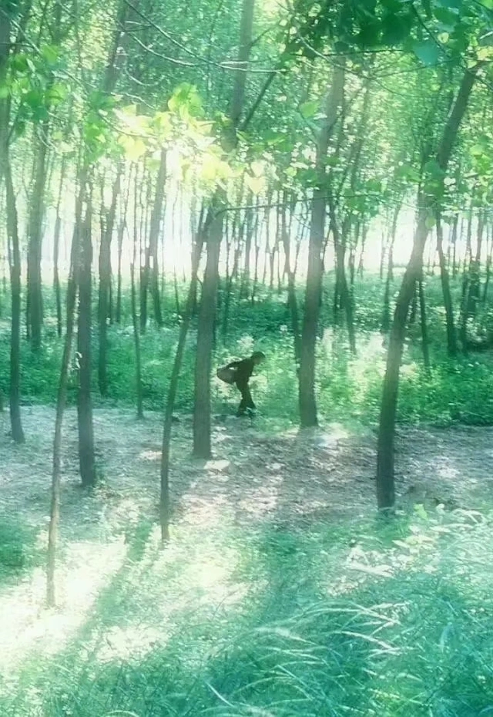 下地劳动的老人