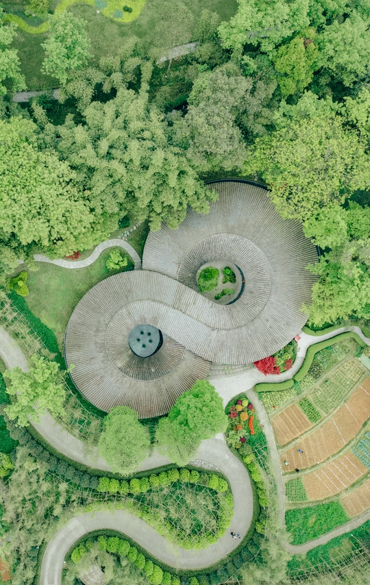 圆形景观的鸟瞰图 房子被绿树环绕