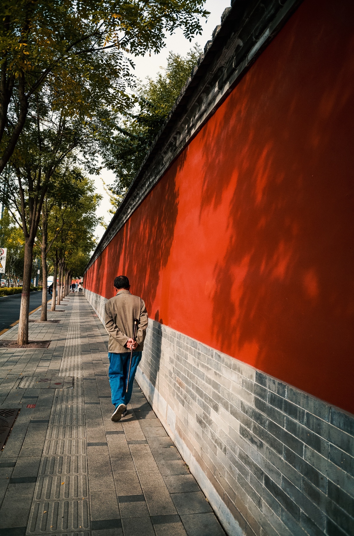 一个人在红墙边走人行道和树