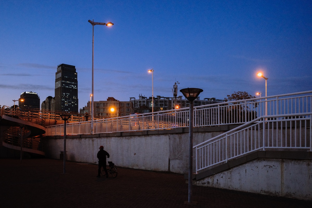 一个人在晚上遛狗过桥 背景是城市的灯光。