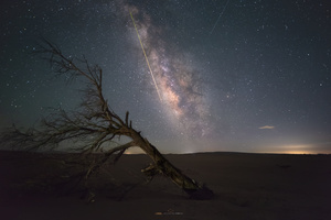 在沙漠中的夜晚 有一棵树和天上的银河。