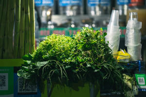 市场桌子上的绿色植物 瓶装新鲜蔬菜