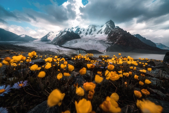 雪山下的花园