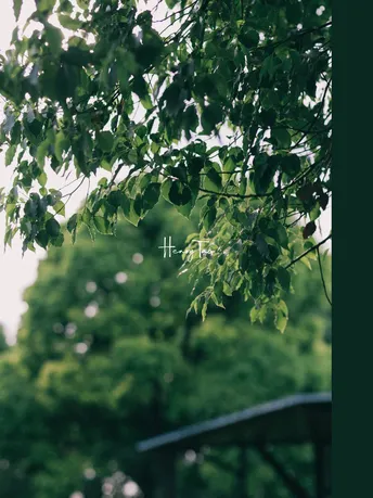一把伞坐在绿公园的长椅上