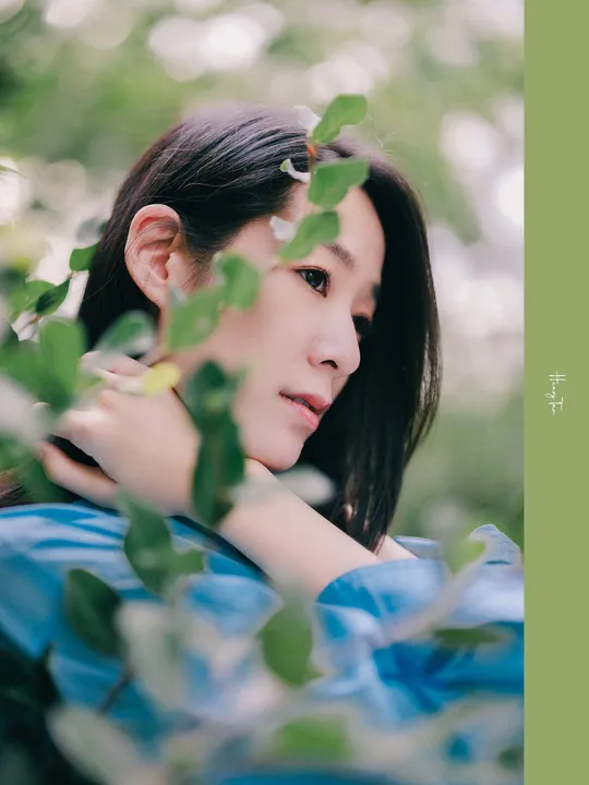 背景有花和树的照片