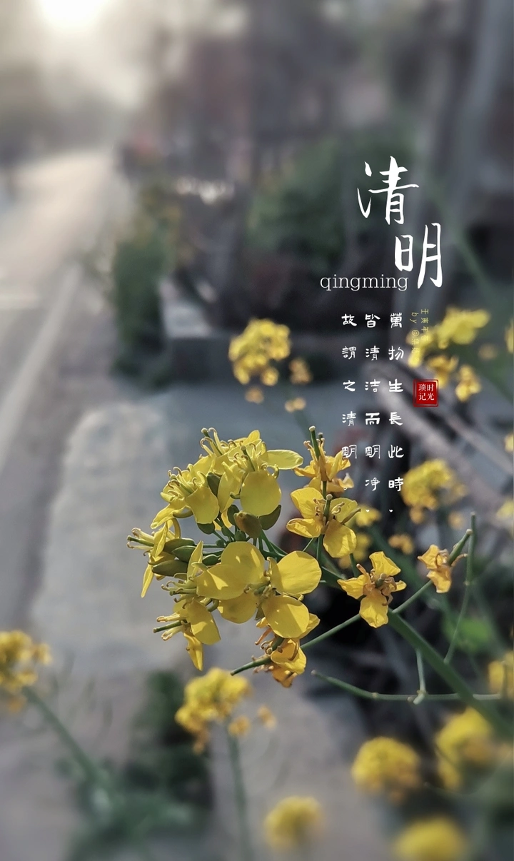 消明季节
