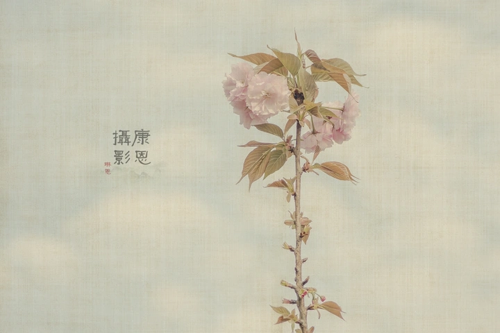 知否