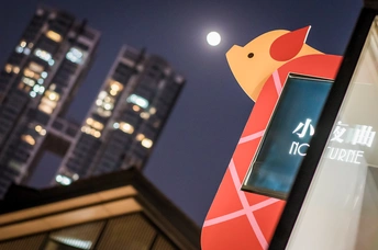 城市夜晚的长颈鹿标志