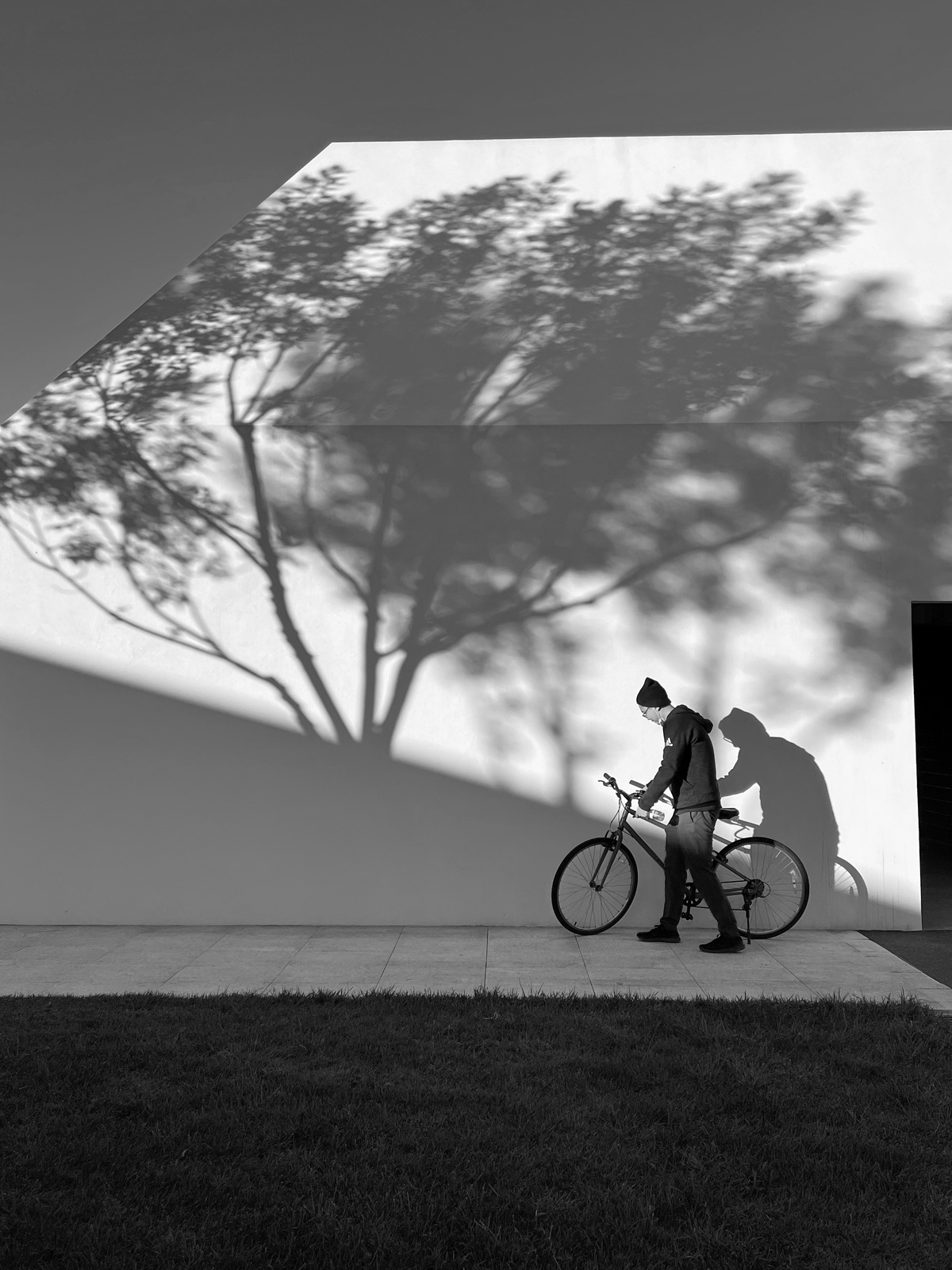 一个人骑自行车在建筑物前的人行道上 树影映在墙上