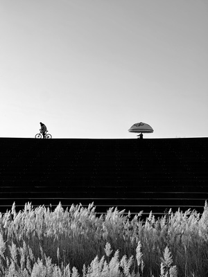 一张黑白照片 一个人骑自行车 旁边有高草和一把伞 墙上有涂鸦。