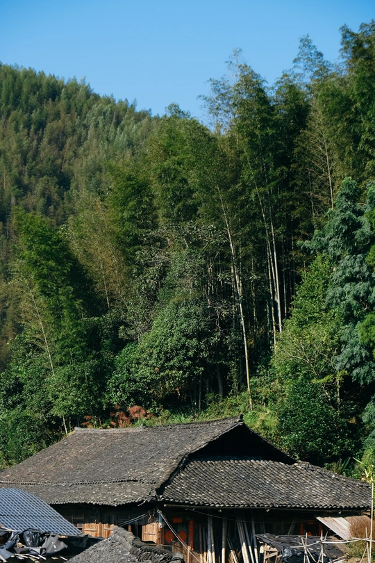 一个小村庄 有房屋和船只停在水边 背景是山和树。