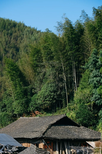 一个小村庄 有房屋和船只停在水边 背景是山和树。