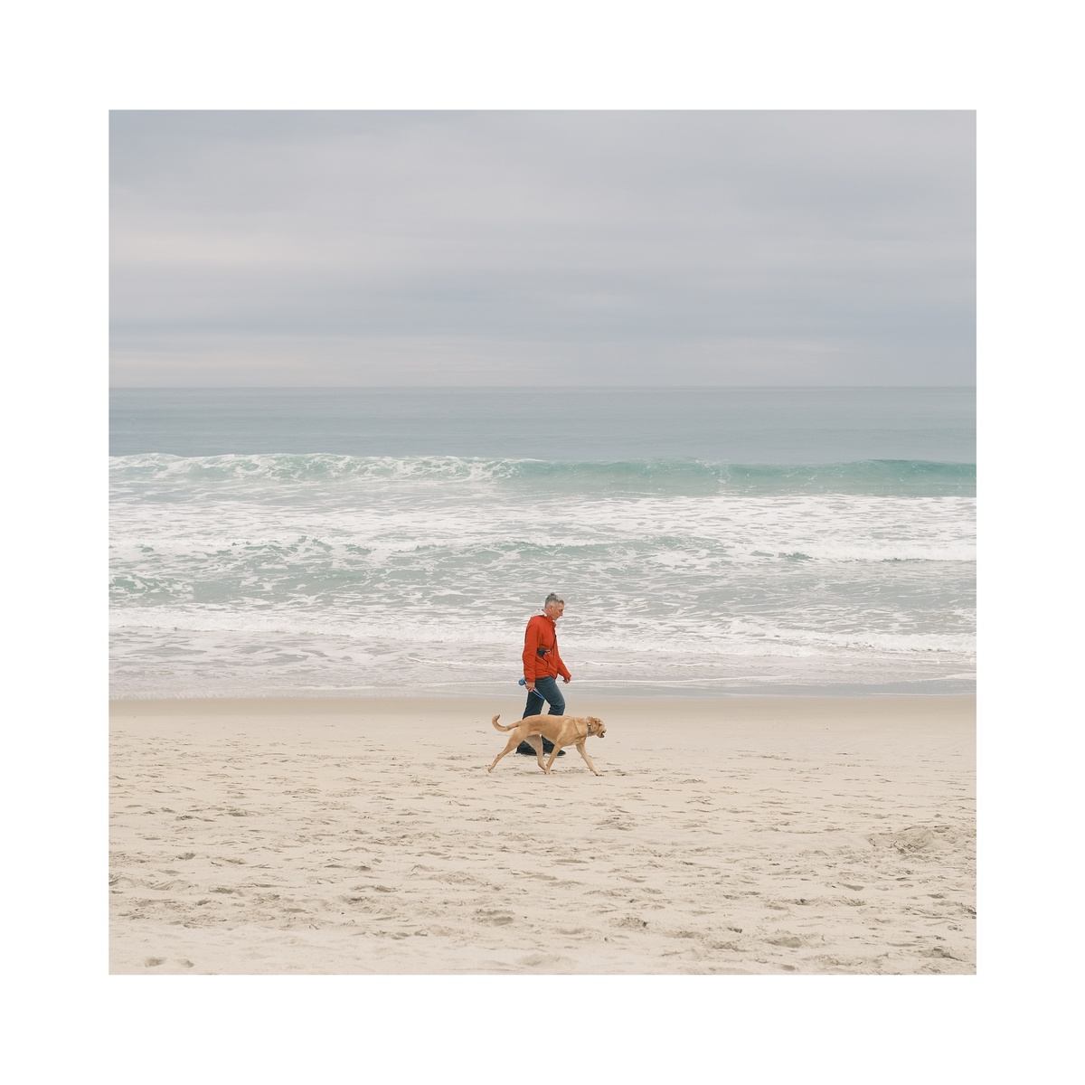 一个穿红衣服的男人正在海滩上遛狗。