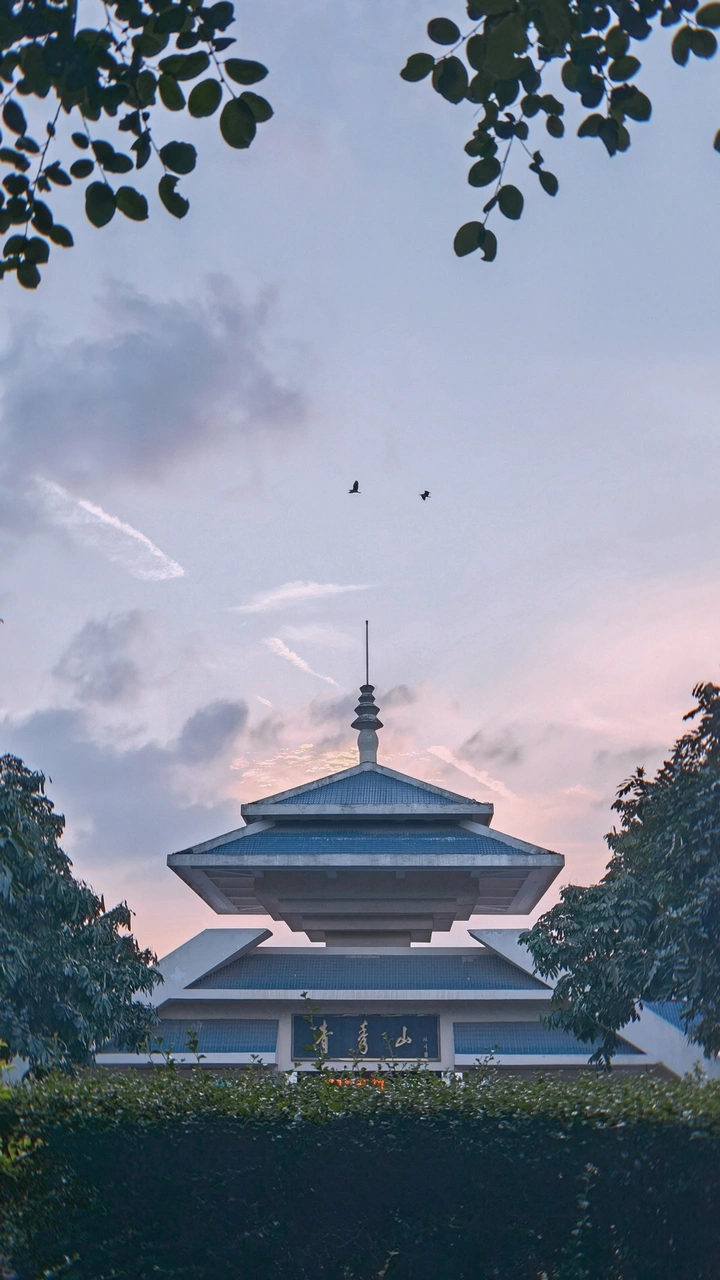 夕阳下的美景