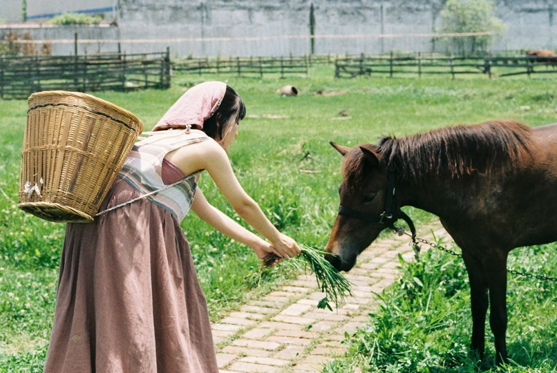 一个穿着连衣裙的年轻女子拿着篮子在田里喂一匹棕色的小马
