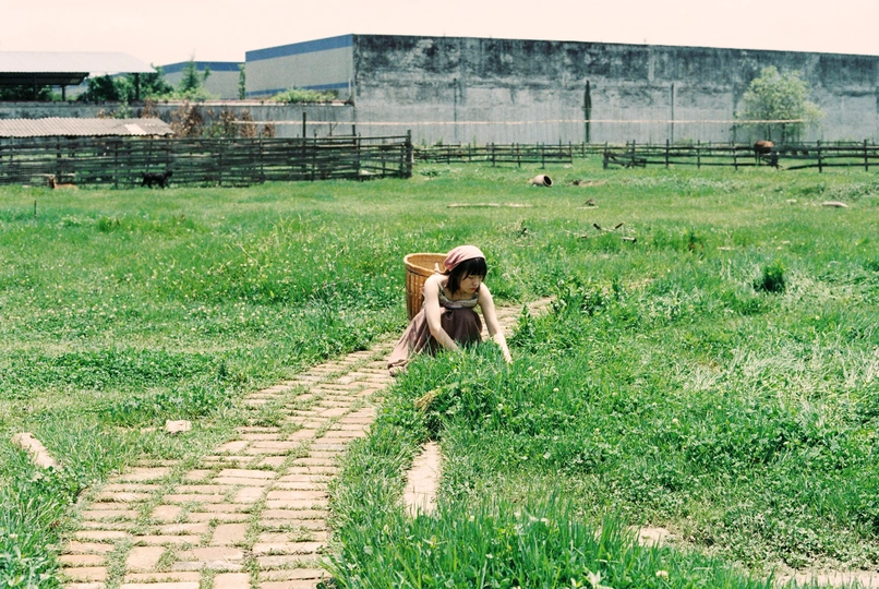 一个小女孩和一只狗在绿草如茵的草地上