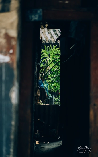 通过窗户看一栋房子