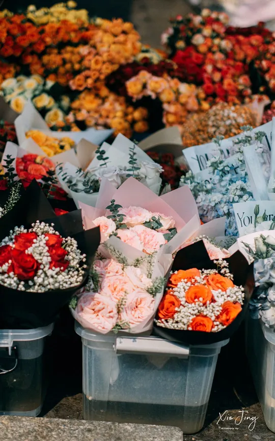 出售各种新鲜切花