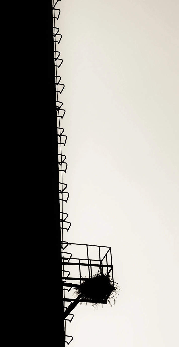 烟囱