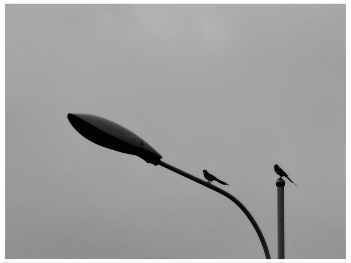 观雨