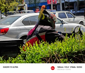一位妇女坐在停在灌木丛旁的停车场的一辆摩托车上 街道上停着汽车。