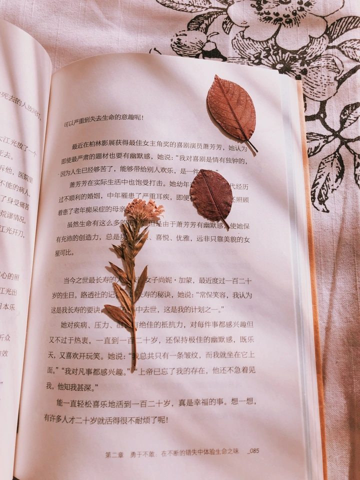 《正午阳光》