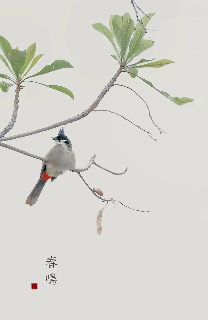 春鸣