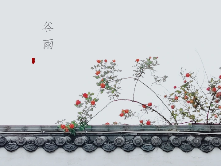 谷雨
